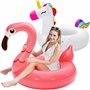 SLOOSH Bouées de Piscine Licorne Flamant Rose – Lot de 2 Jouets gonflables avec Appui-tête