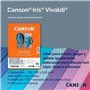 CANSON - Iris Vivaldi - Paquet de 20 feuilles A4 250g - 4 couleurs fluo assorties