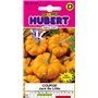 Graines de Courge Jack Be Little - Pomarine