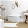Coffre et Banc Pliable