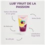 Passage du désir | Lubrifiant Intime À L'eau | Lubrifiants | Lubrifiant | Lub Gourmand Compatible Préservatifs (Fruits de la pas