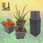 Verdonia 100 Godets Plastique 8cm pour Semis, Repiquage, Bouturage Réutilisables et Résistants - Pots Pratiques avec Trous de Dr