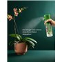 Garten Lux Bio Spray vital pour orchidées avec 16 oligo-éléments pour l'entretien des orchidées - Prêt à l'emploi - 300 ml