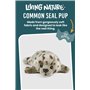 Peluche Phoque Commun