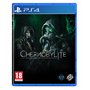 Chernobylite (Playstation 4)