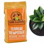 Terre D'AUGUSTE - Terreau Rempotage 6L avec Fermeture Eclair Refermable - Solution Spécifique pour Plantes Vertes & Fleuries en