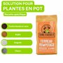 Terre D'AUGUSTE - Terreau Rempotage 6L avec Fermeture Eclair Refermable - Solution Spécifique pour Plantes Vertes & Fleuries en 