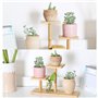 Mini support de plante succulente en bois de table à 3 niveaux