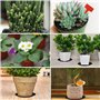 alwaiiz 20 Pièces Soucoupe Pot Fleur Rond, Plastique Dessous de Pot de Fleur avce 24 Pièces Étiquettes pour Plantes, Coupelle po
