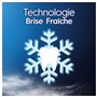 Oral-B 3D White Arctic Fresh Dentifrice Éliminant Des Taches Pour Des Dents Plus Blanches Dès Le Premier Brossage, Doux Pour L’É