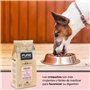 Avantis Pet Pure Oceanic Adult - Aliment pour Chiens Adultes de Toutes Races à estomame Sensible - 12 kg - Aliments secs pour Ch