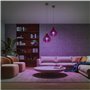 Philips Hue - Startkit 2xE27 + Bridge & Dimmer - Blanc & Color Ambiance
