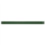 Lit surélevé de jardin Acier enduit de poudre 620x80x36 cm Vert