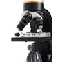Celestron 44347 Microscope numérique TetraView à écran tactile LCD, grossissement 40x-400x, noir/argenté