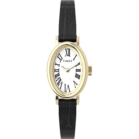 Timex Watch TW2W78300