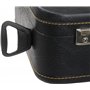 Alpenklang Coffre d´Accordeon Luxe/Trolley 120 Bass