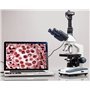 Microscope trinoculaire de laboratoire à LED 40X-2500X avec scène mécanique 3D à 2 couches
