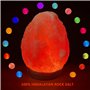 Lampe de sel de roche de l'Himalaya - Original Crystal Natural USB Himalayan Lamp Purificateur d'air avec 16 couleurs changeante