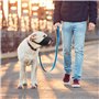 WuGu Museliere pour Chiens, Muselière en Nylon Réglable, Muselières Chiens Confortable et Respirant, Convient aux Chiens de Tail