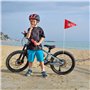HONMOK 2pcs Fanions Vélo Enfant Pirate Dinosaure Réfléchissant Drapeau de Sécurité avec Mâts Réglables pour Garçon Fille Cyclism