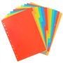 Lot de 12 Intercalaires pour Classeurs A4