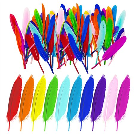 GTYHH 100 Pièces De Plumes Colorées