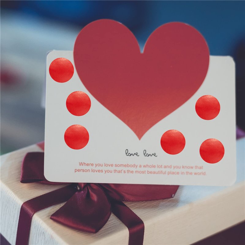 HAOBIN Key Fob Hardware Keychain Convient Aux éTiquettes à Clipser Manuelles Telles Que Les Bracelets De Poche,Cordons, Etc.Peut