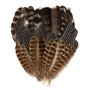 Lot de 30 Plumes Naturelles De Dinde
