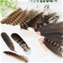 Lot de 30 Plumes Naturelles De Dinde, Plumes Artisanales, Plumes De Faisan pour Travaux Manuels, 3 Styles De Plumes Naturelles M