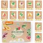 Lot de 12 variétés de graines de légumes déméter pour toute l'année | Graines de légumes rares et anciennes toutes résistantes a