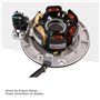 GOOFIT Magneto Stator Kit Rotor w lumière Remplacement pour POW6471 Motobineuse Moteur à Yx 160 CC Pit Dirt Bike Lanceur 150 CC