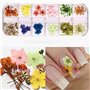 Fleur Séchée pour Ongles 3 boîtes 36 Couleurs Nail Applique 72 pièces 3D Nail Art Fournitures Applique pour Bricolage Nail Art d