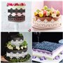 Moule de Dentelle de Gâteaux en Silicone Gaufrage Moule à Fondant Outil de Décoration pour Gâteau Cupcake Mousse Pain