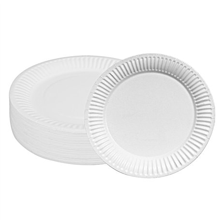 Hisdricus 100 Assiette Carton