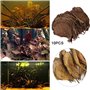 POFET Catappa Lot de 10 feuilles d'amande indiennes de ketapang, de crevettes, de poissons, de soins d'aquarium, pH inférieur po