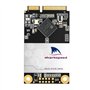128Go mSATA Internal SSD Sharkspeed Plus Disque Interne Solid State Drive SATA III 6Go/s Mini SATA 3D NAND