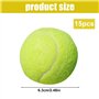 balles de tennis pour chien