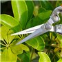 Sécateur, Ciseaux Tout Usage, Sécateur Outil de Coupe, Adapté à la Taille des Branches Dans le Jardin et à la Taille des Fleurs(