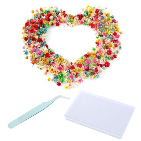 ZGDEIWGF 280 Petites Fleurs Séchées