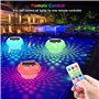 Carastek Lumiere Solaires Piscine avec Thermomètre Lampe Piscine RGB LED Lampe Piscine Solaire avec Télécommande Étanches IP68 L