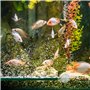 diffuseurs de bulles pour aquarium