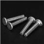 Rivets Pleins,100pcs M4 Rivet Solide à Tête Plate en Alliage d'Aluminium Rivets Pleins Rivets Tête Plate Kit d'Assortiment de Fi