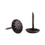 Décoratif Clou, Rembourrage élégant Vintage Clous En Métal Tags Meuble Canapé Chaussure Porte Décoratif Clou(Daisy Nail 10 * 14m