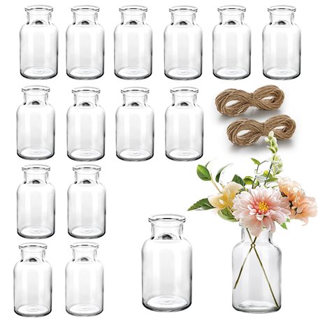 Otauoaea Lot de 15 Mini Vases en Verre