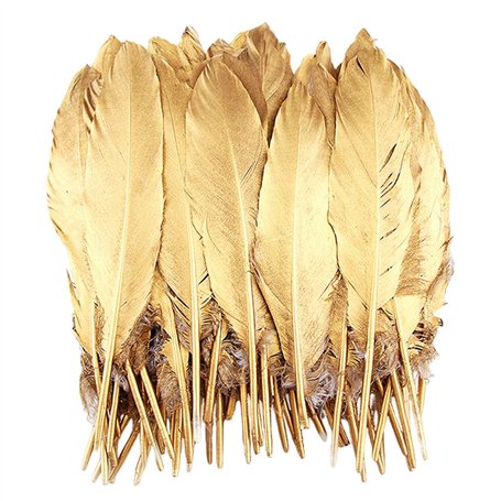 50 plumes dorées