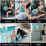 VELLUSTRA 2PCS Ballon Grossesse, 25CM Balles d'exercices Fitness, Gymnastique Gym avec Pompe Rapide, Anti-éclatement et Anti-Dér