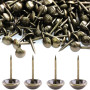 500 Pièces 6 X14 MM Clous de Tapissier