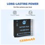 DSTE DMW-BCK7 Li-ion Batterie et chargeur USB costume pour Panasonic DMC-FH2 DMC-FH4 DMC-FH5 DMC-FH6 DMC-FH7 DMC-FH8 DMC-FH25 DM