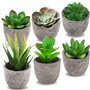 Frasheng 6 Pièces de Plantes Succulentes Artificielles en Pot