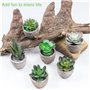 Frasheng 6 Pièces de Plantes Succulentes Artificielles en Pot,Petits Succulents,Plante Artificielle Interieur,Plantes Succulente